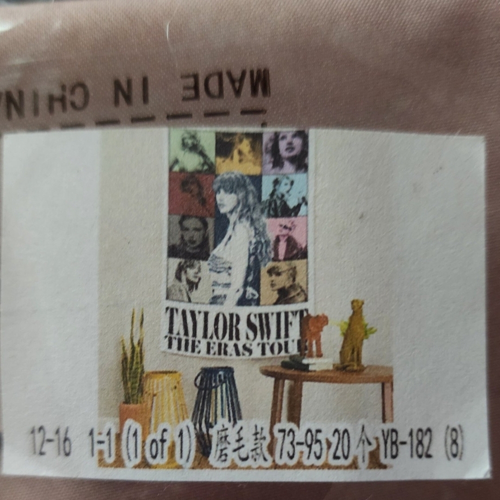 Taylor Swift The Eras Tour Tapestry